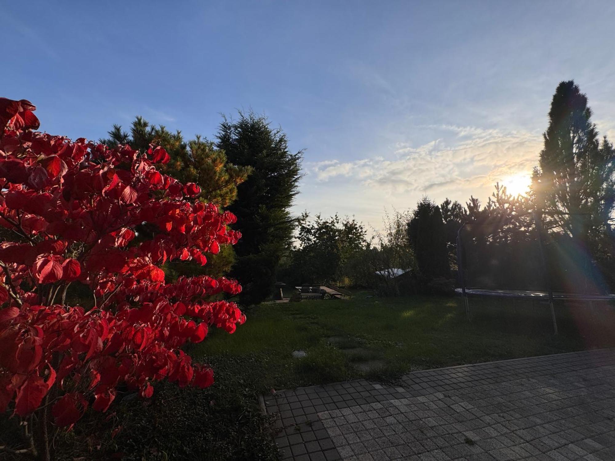 Diamondvilla, 4 Bedroom Apartment, Garden & Apartamento *